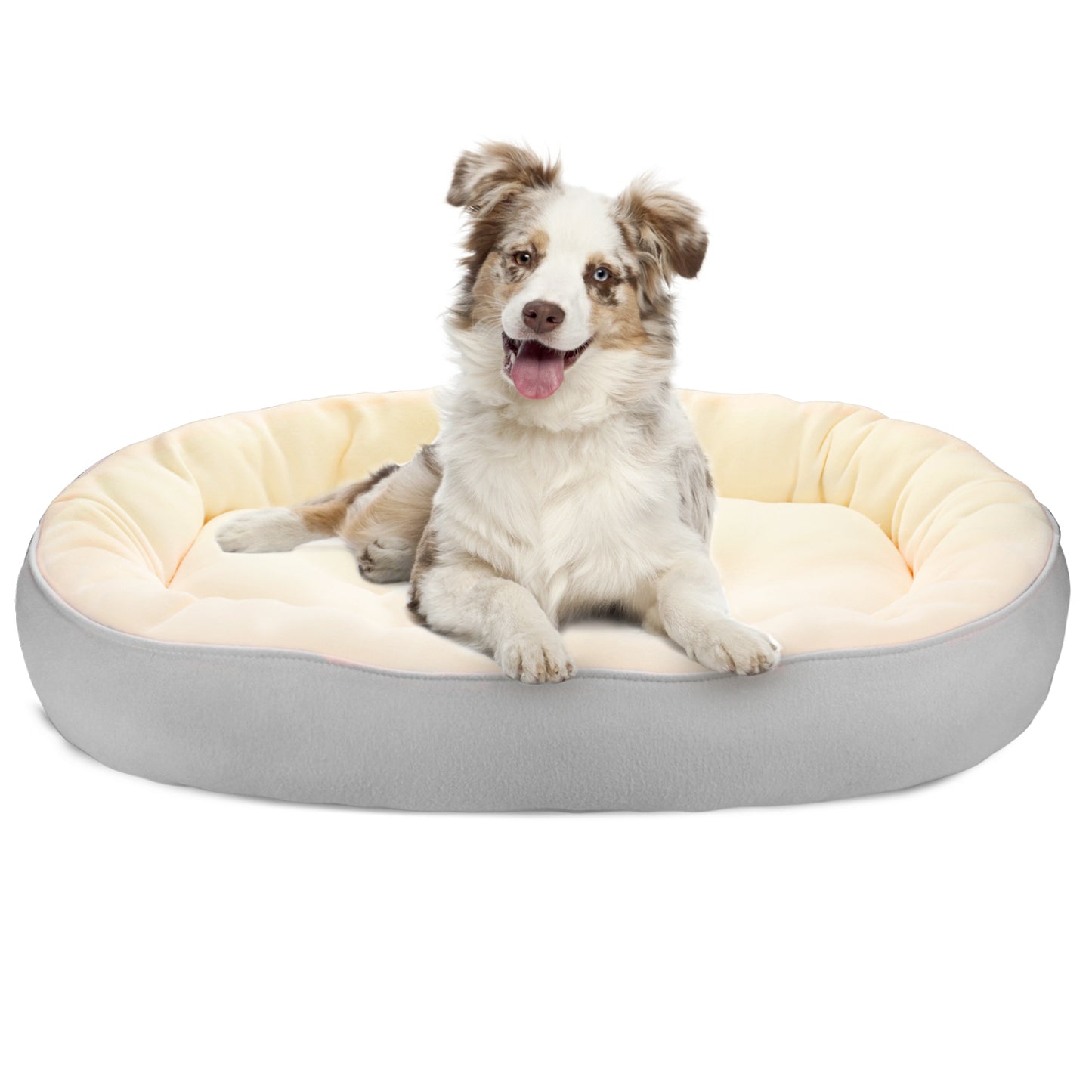 HAWSON Dog Bed for Large Medium Small Dogs,Fits up to 5- 45 lbs Medium Small Dogs and Cats(24''/30'')